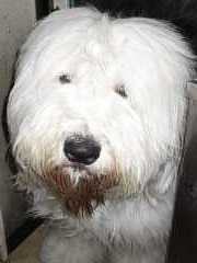 �C�^���A����