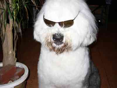 ��������