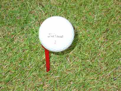 ���P�b�e�B�[,�e�B�[�y�O(���S�҂���㋉�҂܂Ō��p)