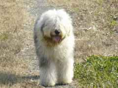 �e�B�A�̃v���t�B�[��