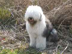 �}�j�b�V���̃v���t�B�[��