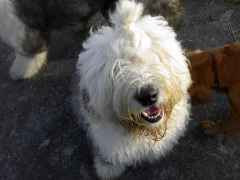 �͂��߂܂���