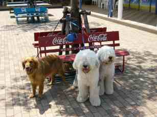 ���̉w�̓��܂Ńh���C�u