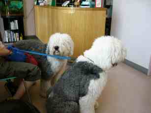 �����͕a�@