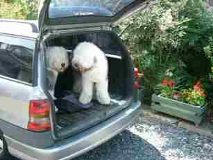 �v�X�ɓV�C���ǂ�����