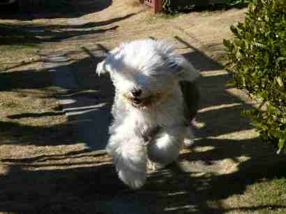 2005�N�����܂��Ă��߂łƂ��������܂��B