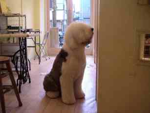 �ĂɌ������ē�l�Ƃ��V���[�g�J�b�g