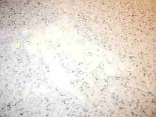 �����c���