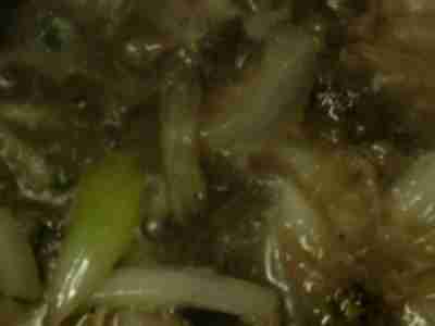 ���S�ɂ��������o�������